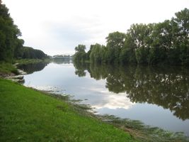 Labe 20 mezi Lysou a Kerskem-12.7.09 (1).JPG